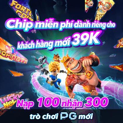 55QQ